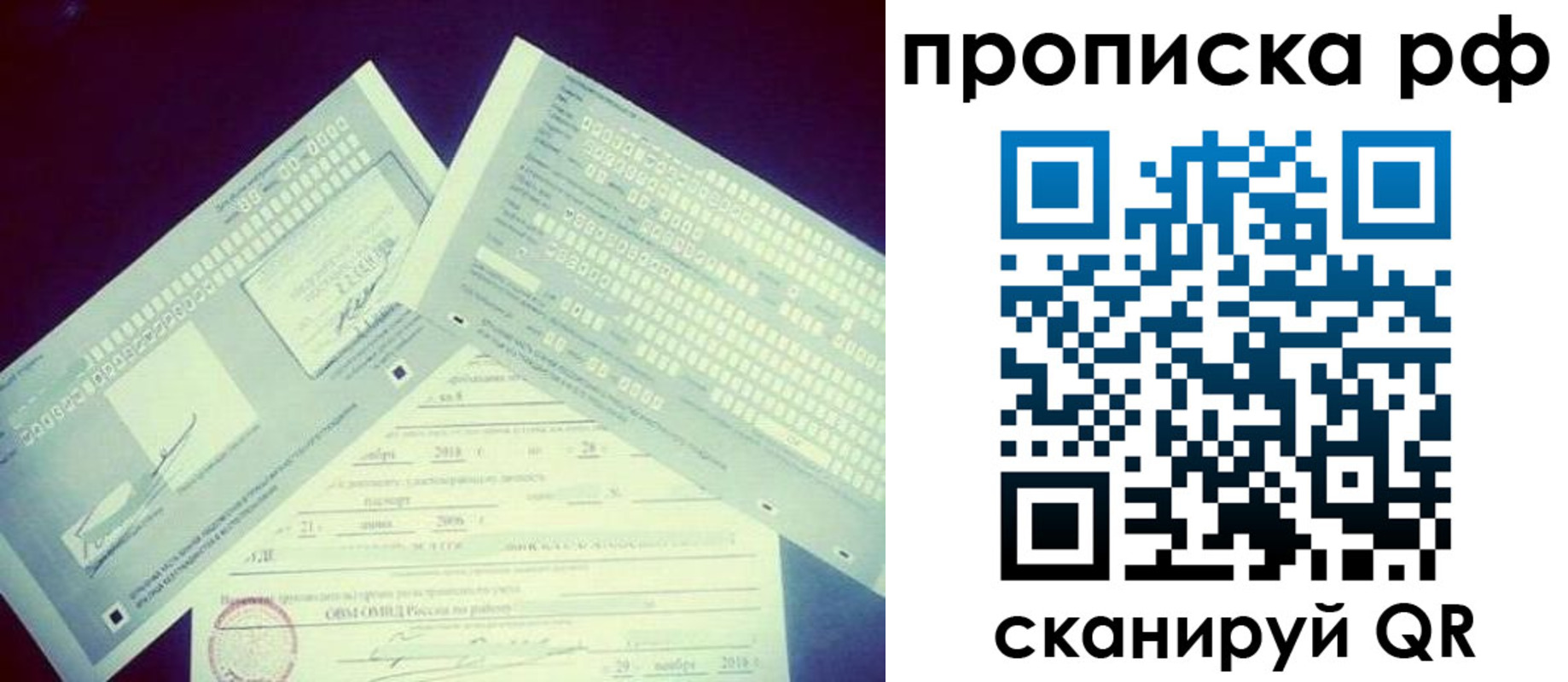 прописка поиск в Рязани